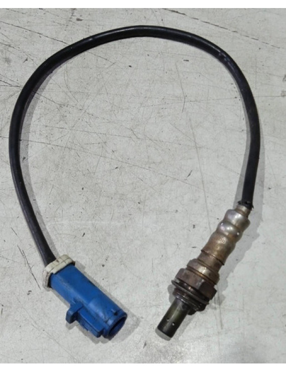 Sonda Lambda Focus 1.6 2008 - 2013 / Am559g444ab
