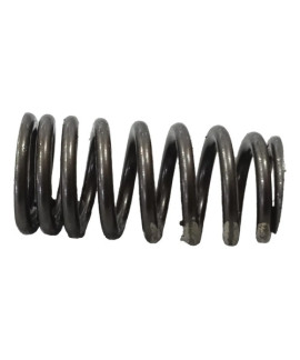 Mola De Válvula Cabeçote Bmw 320 2.0 Turbo Flex 2016 N20 