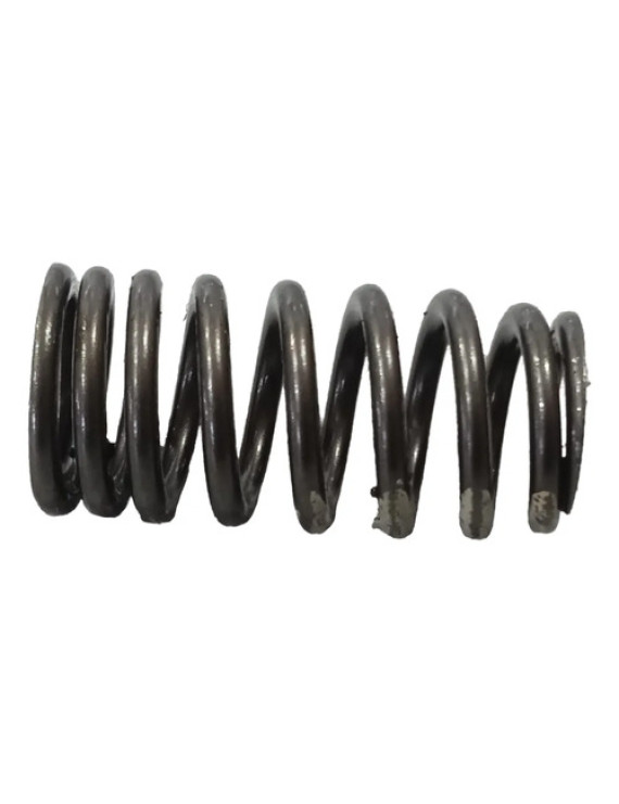 Mola De Válvula Cabeçote Bmw 320 2.0 Turbo Flex 2016 N20 