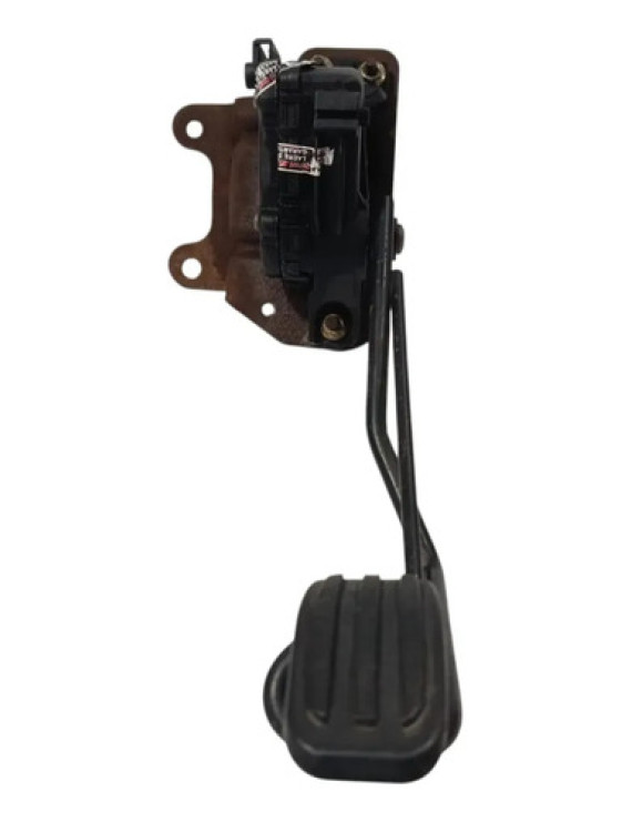 Pedal Acelerador Eletrônico Peugeot 206 2005
