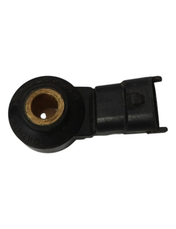 Sensor Detonação Porsche Cayenne 4.8 V8 2008 / 0261231173