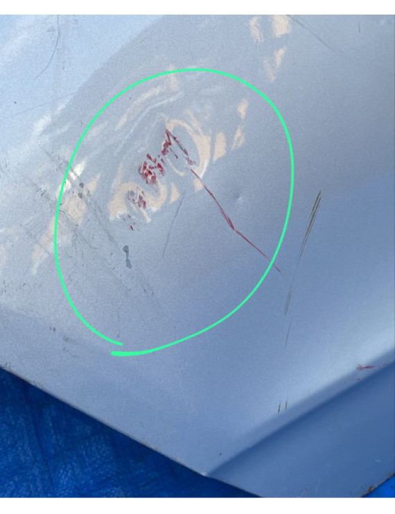 Porta Traseira Direita Ix35 2013 A 2017 / Detalhe
