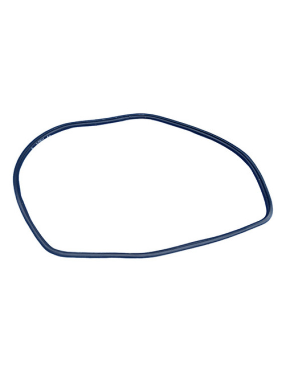 Borracha Porta Traseira Esquerda Sandero 2018 2019 2020