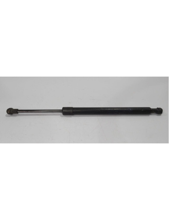 Amortecedor Esquerdo Tampa Traseira Bmw 318i 2006 - 2012