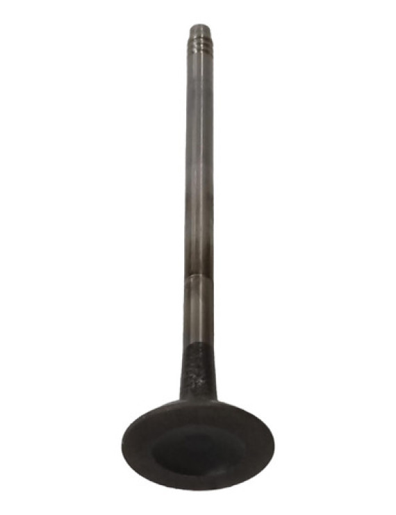 Válvula De Escape Bmw 320 2.0 Turbo Flex 2013 - 2016 N20  