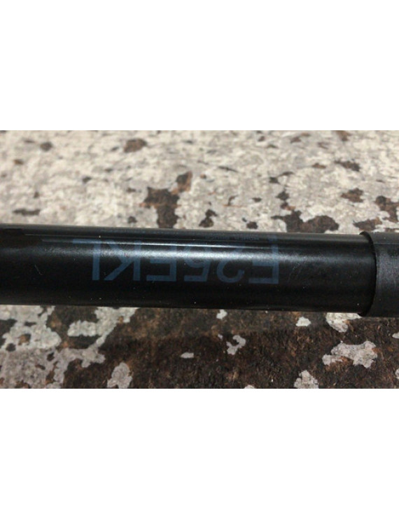 Amortecedor Capô Bmw X3 2013 2014 2015 2016