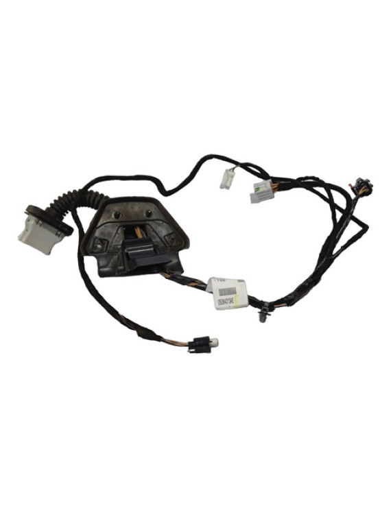 Chicote Da Porta Traseira Direita Journey 2009