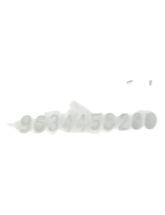 Guia Do Vidro Traseiro Direito Peugeot 307 2002 - 2006 Branco