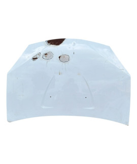 Capô Sandero 2007 2008 2009 10 2011 2012 2013 2014 / Detalhe Capô Sandero 2007 2008 2009 10 2011 2012 2013 2014 / Detalhe