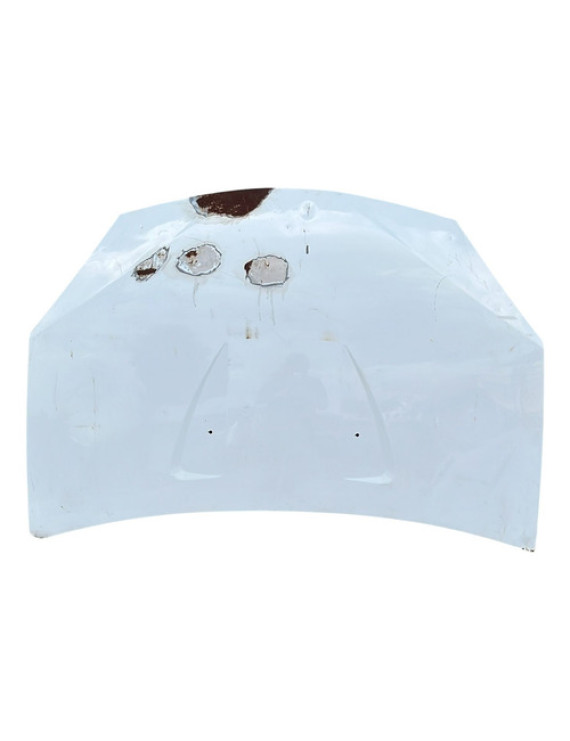 Capô Sandero 2007 2008 2009 10 2011 2012 2013 2014 / Detalhe