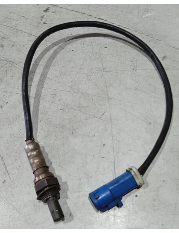 Sonda Lambda Focus 1.6 2008 - 2013 / Am559g444ab