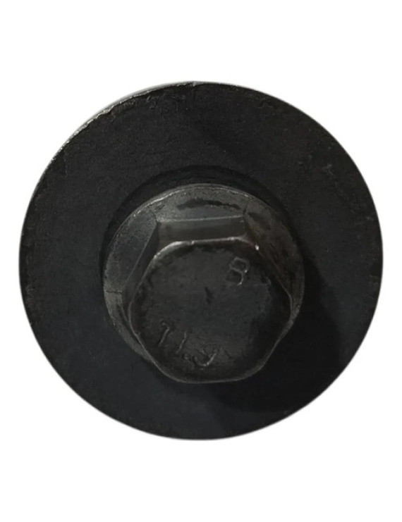 Parafuso Polia Virabrequim Duster 2.0 2013 2014 2015 Preto