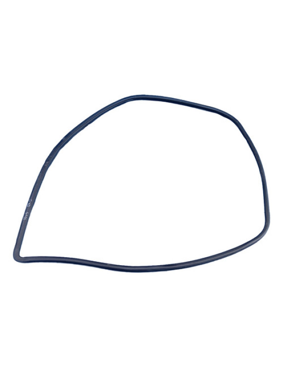 Borracha Porta Dianteira Direita Toyota Rav4 2000 - 2005 Preto