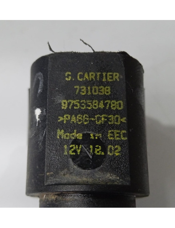 Sensor Nível Refrigeração C5 Peugeot 307 2003 2004 2005 Preto