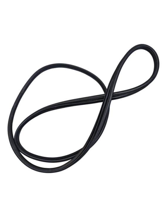 Borracha Porta Traseira Direita Civic 2012 - 2016