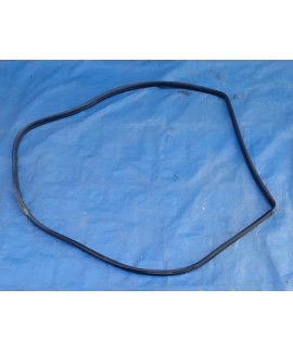 Borracha Porta Traseira Direita Toyota Rav4 2000 - 2005