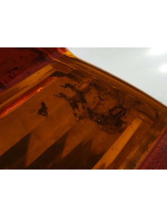 Lanterna Direita Bmw 320i 2002 2003 2004 2005 Detalhe