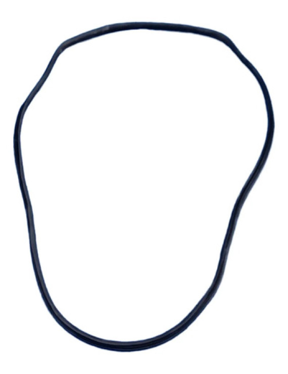 Borracha Porta Traseira Esquerda Tiggo 7 2019 2020 2021 Preto