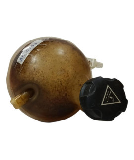 Reservatório Água Radiador Peugeot 307 2.0 2005 - 2012