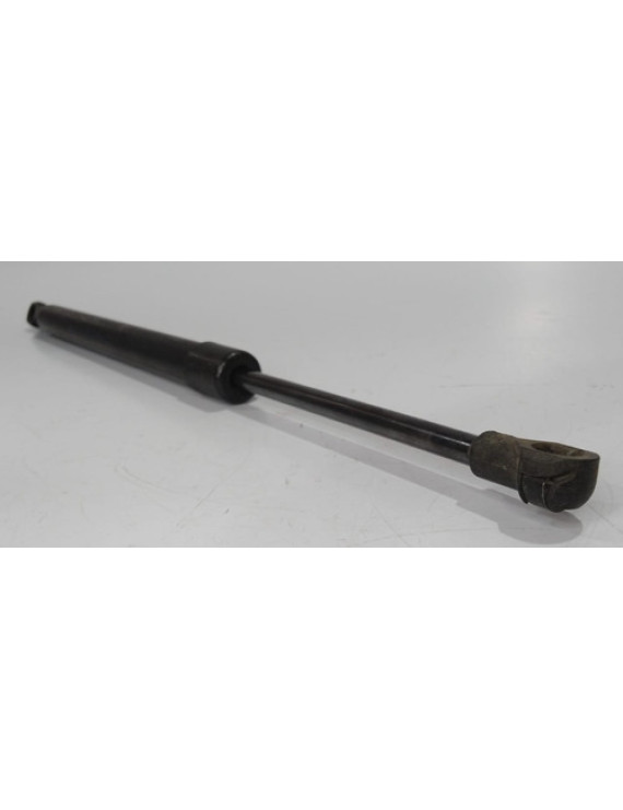 Amortecedor Esquerdo Tampa Traseira Bmw 318i 2006 - 2012