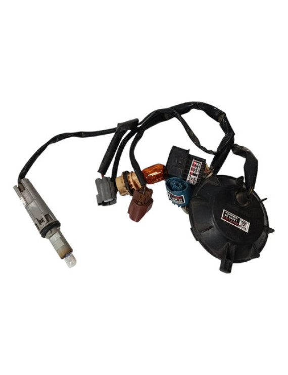 Chicote Farol Asx 2010 - 2013