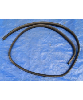 Borracha Porta Traseira Esquerda Edge 2011 2012 2013 2014
