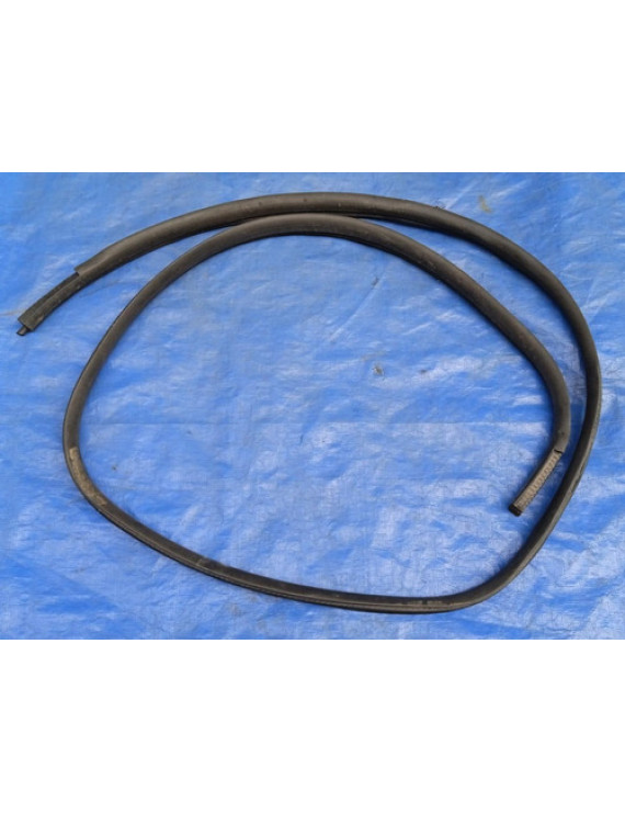 Borracha Porta Traseira Esquerda Edge 2011 2012 2013 2014