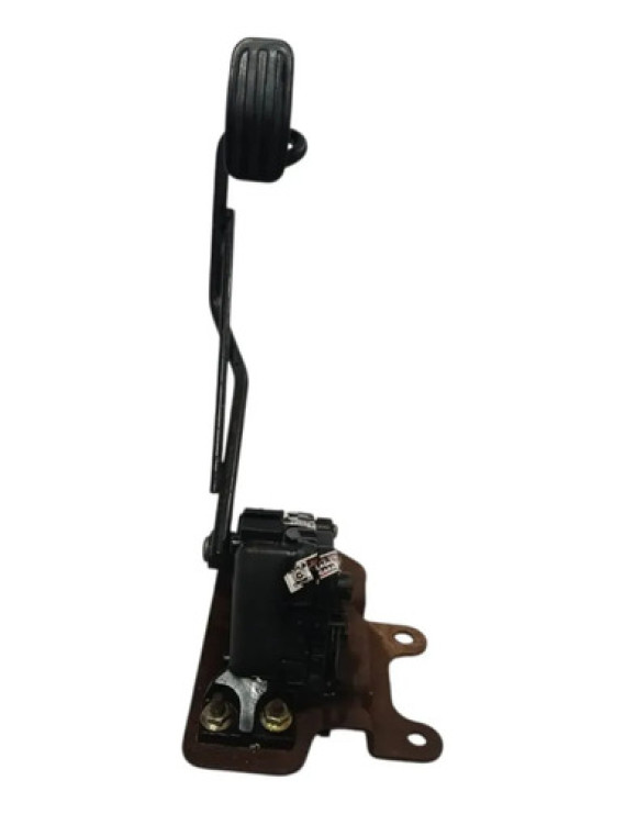 Pedal Acelerador Eletrônico Peugeot 206 2005