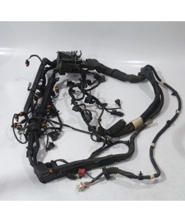 Chicote Motor Porsche Cayenne 4.8 V8 Turbo 2009