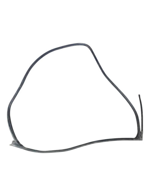 Borracha Porta Traseira Direita Chrysler 300c 2007
