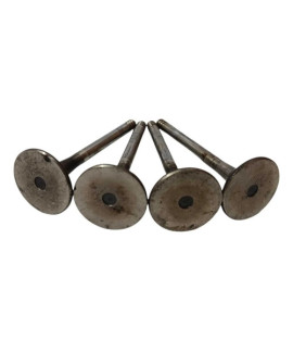 Kit Válvula Escape Seat Inca 1.6 1999