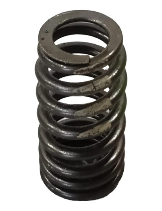 Mola De Válvula Cabeçote Bmw 320 2.0 Turbo Flex 2016 N20 