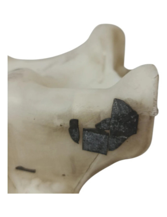 Reservatório Limpador Parabrisa Mercedes C320 2001 - 2005 Branco