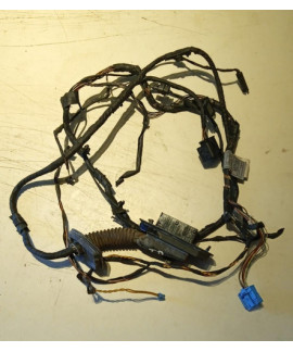Chicote Da Porta Traseira Direita Bmw 535i 2012