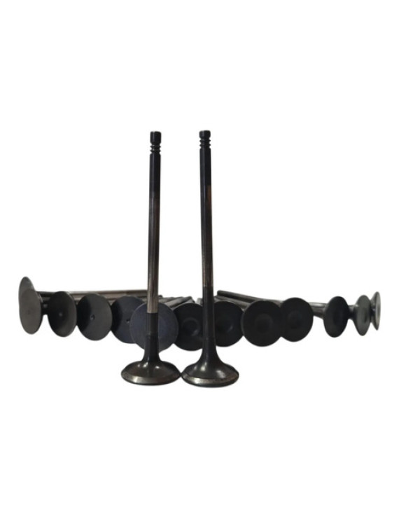 Kit Válvula Escape E Admissão Cabeçote Master 2.5 2008