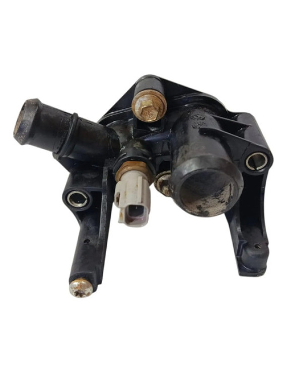 Cavalete Água Ecosport Fiesta 1.6 16v 2013 - 2018