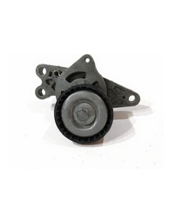 Tensor Alternador Poly-v Peugeot 206 207 1.4 1.6 2002 - 2008