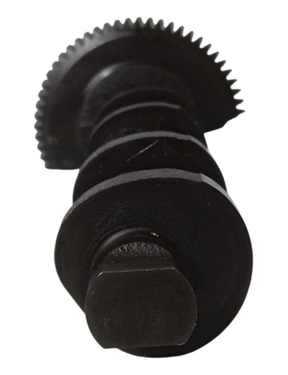 Eixo Excêntrico Valvetronic Bmw 535i 3.0 N55 2011 2012