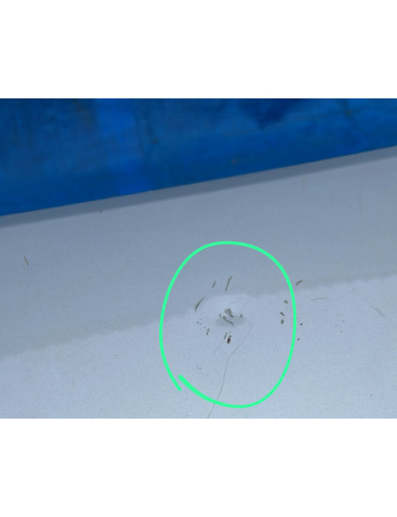 Capô Freelander 1 2003 2004 2005 Detalhe