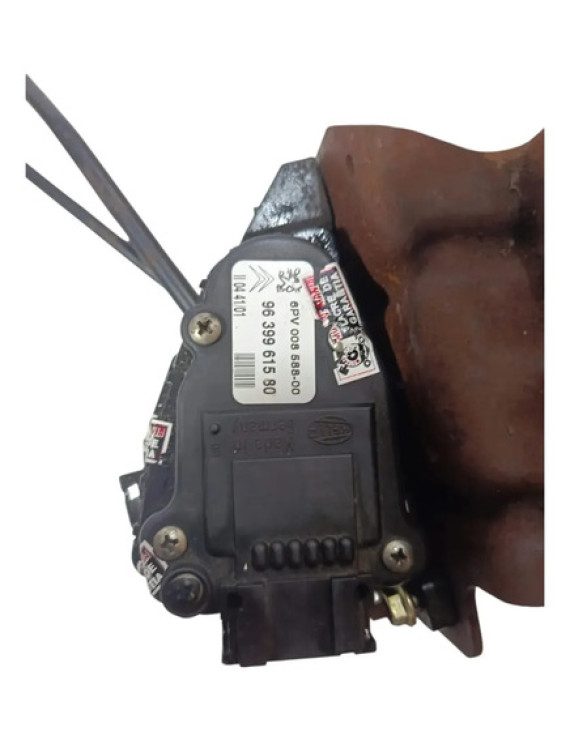 Pedal Acelerador Eletrônico Peugeot 206 2005