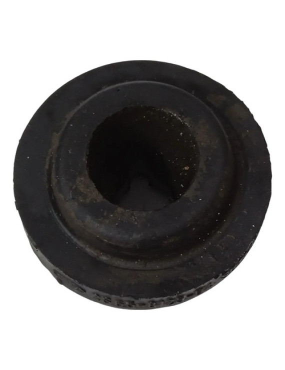 Coxim Radiador Ecosport 2003 - 2008