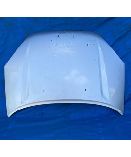 Capô Toyota Rav4 2001 2002 2003 2004 2005 / Detalhe