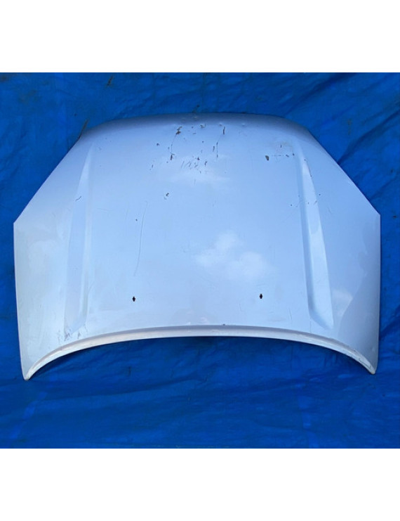 Capô Toyota Rav4 2001 2002 2003 2004 2005 / Detalhe