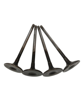 Kit Válvula Escape Ecosport Fiesta 1.6 2003 - 2008