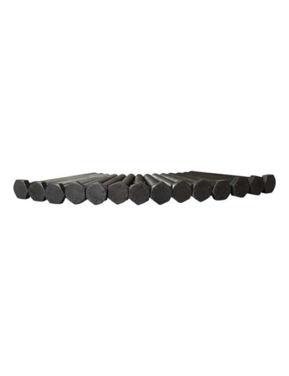 Kit Parafuso Gaiola Cabeçote Bmw 535i 3.0 N55 2012 Preto