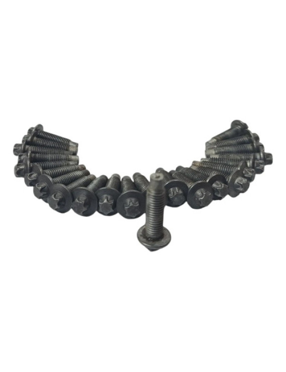 Kit Parafuso Carter Duster 2.0 2012 2013 2014 2015 2016 Preto