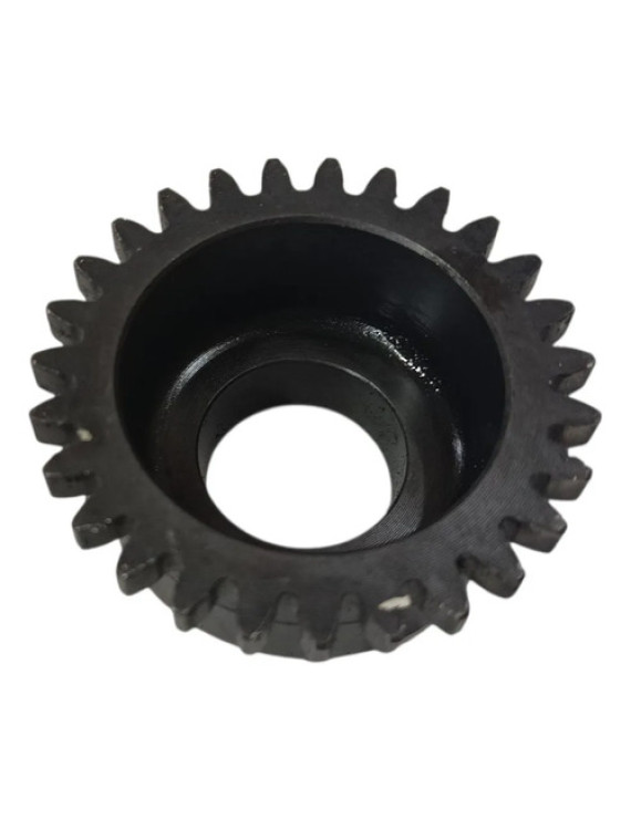 Engrenagem Bomba D\'água Master 2.5 2008 - 2012