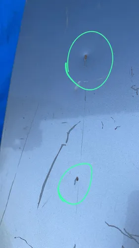 Tampa Traseira Peugeot 307 Sedan 2003 A 2012 / Detalhe Prateado