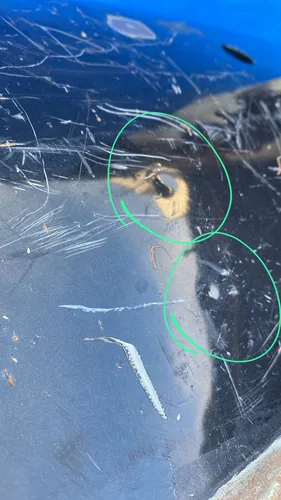 Paralama Traseiro Esquerdo Bmw Z3 1996 A 2002