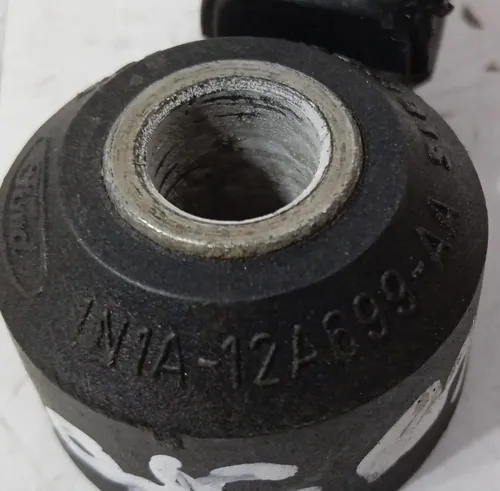 Sensor Detonação Ecosport 1.6 2003 - 2012 / 1n1a12a699aa